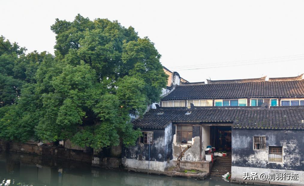 苏州最便宜的千年古镇,苏州水乡古镇免费景点