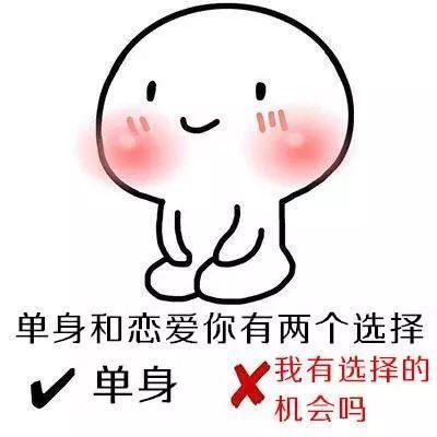 澳洲网红袋鼠去世,网红袋鼠离世