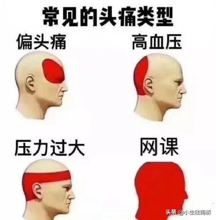 上网课做菜,上网课学做菜