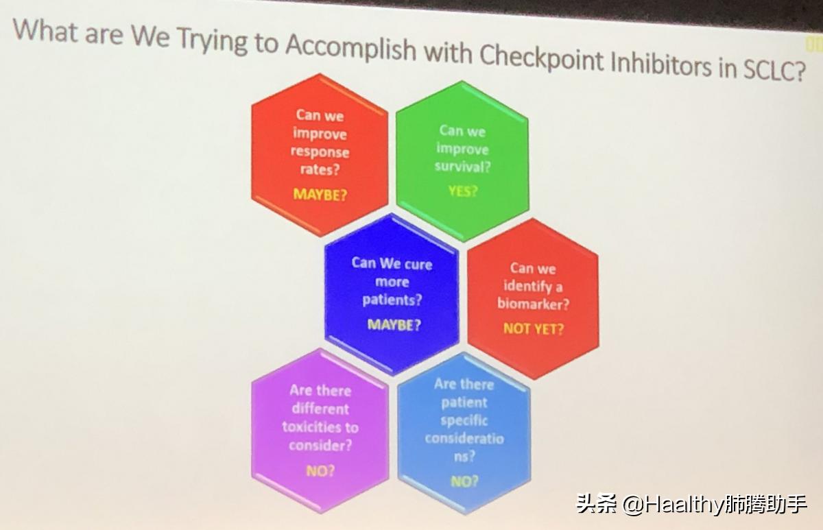 广泛期小细胞肺癌免疫治疗费用,广泛期小细胞肺癌化疗成功案例