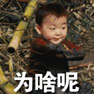 不正经的律师现场,盘点正经律师讲不正经的真实事件