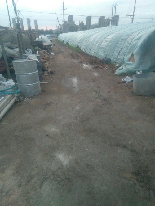 邻里矛盾担心被投毒,邻里小事引发吵架邻居事后死亡