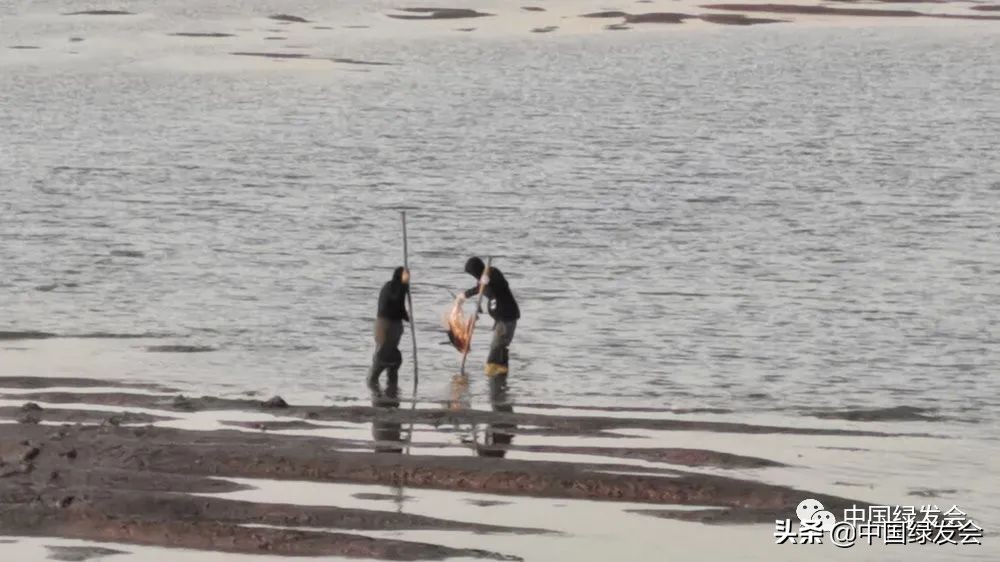 被拆湿地公园,曹妃甸湿地保护区在哪里