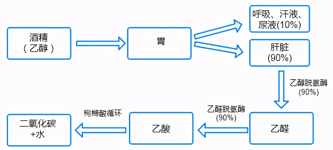 吃甲硝唑不能吃海鲜吗,吃甲硝唑后不能吃什么