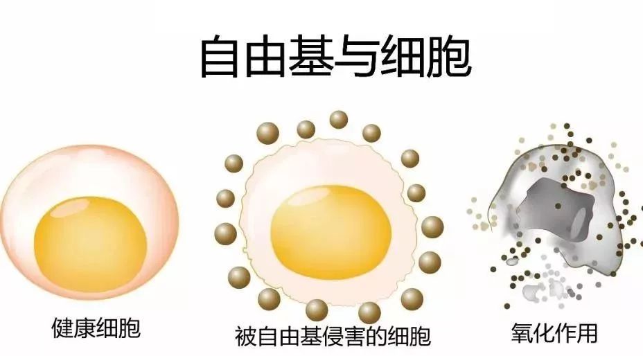 医美高端抗衰型水光针有哪些,便宜又有效果的医美抗衰项目