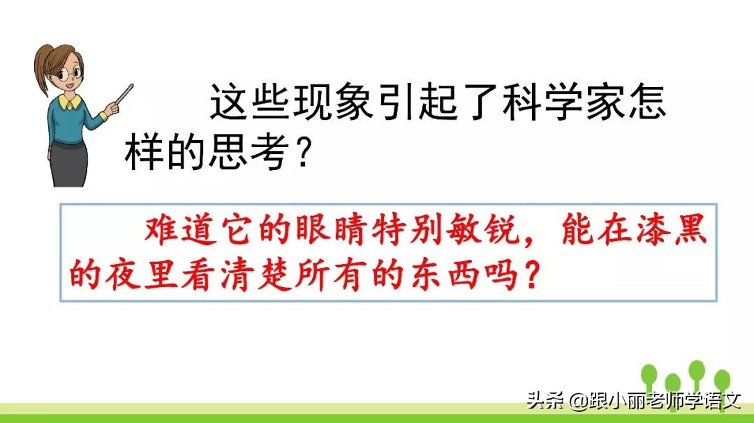 语文思维导图四年级上蝙蝠和雷达,人教版四年级上册蝙蝠和雷达朗读