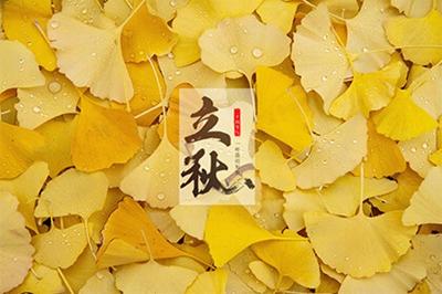 山药汤怎么做最养脾胃成人,秋天山药煲什么汤补脾胃肝肾