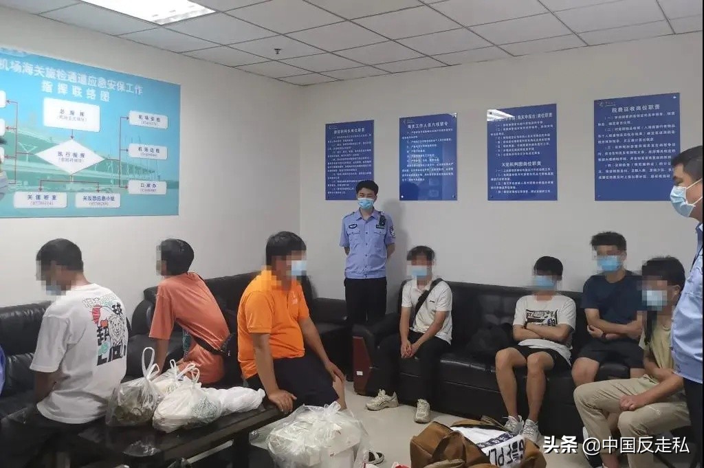 国门利剑打击走私专项行动,国门利剑2018全集