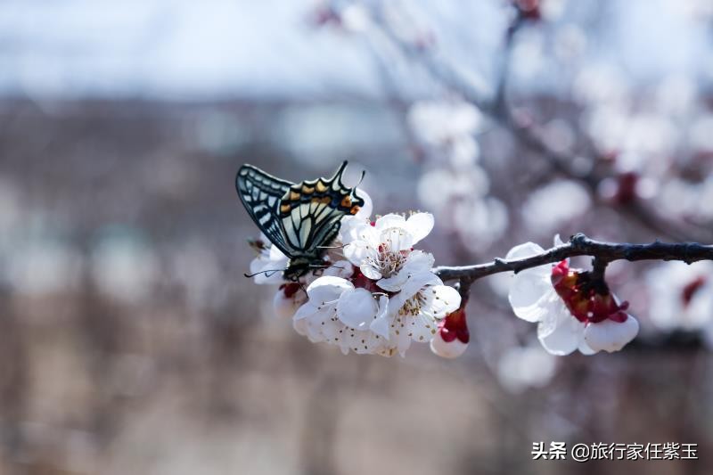 孔子尼山圣境游玩攻略,孔子故里尼山圣境航拍
