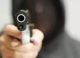 加拿大鹅街头被抢,加拿大鹅10天被抢七次