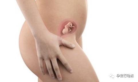 孕期周刊第93周,孕期周刊27周