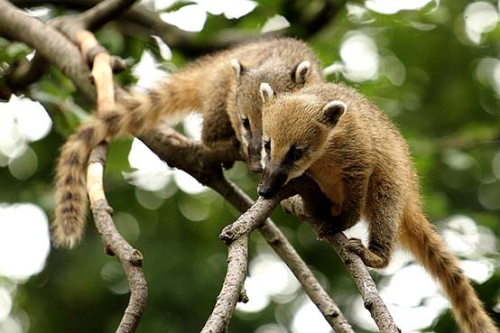 如何避免成为千篇一律的网红脸,怎么样打造网红脸