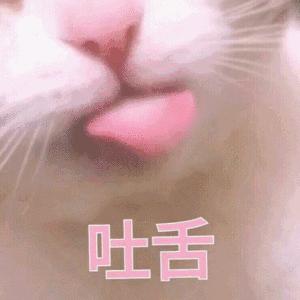 姐妹情深小猪佩奇表情包,无法自拔表情包小猪佩奇