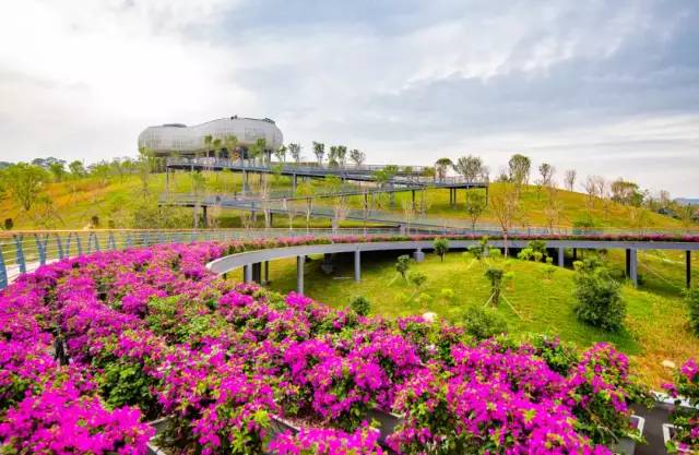 最新的深圳北站中心公园视频,深圳北站中心公园开放时间