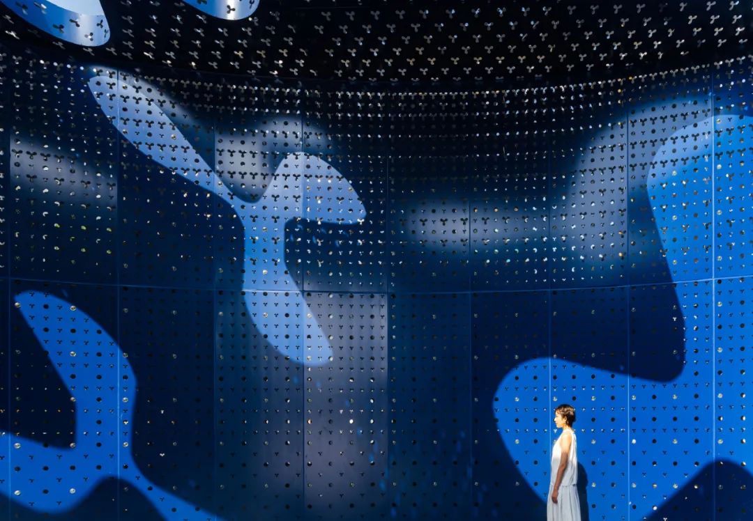 俞挺作品,俞挺上虞