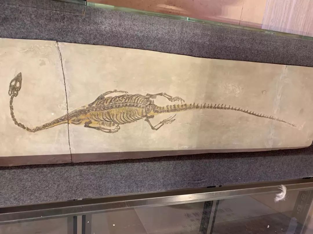 北京运河苑温泉水世界，好似闹市中的“瑶池仙境”，乐在水世界