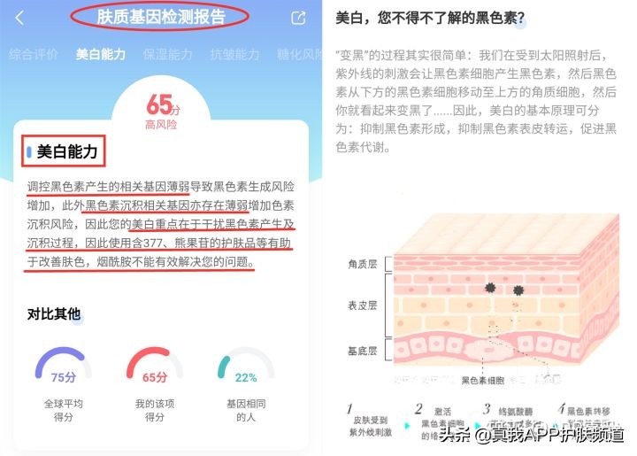 olay烟酰胺身体乳真的美白吗,olay身体乳烟酰胺美白