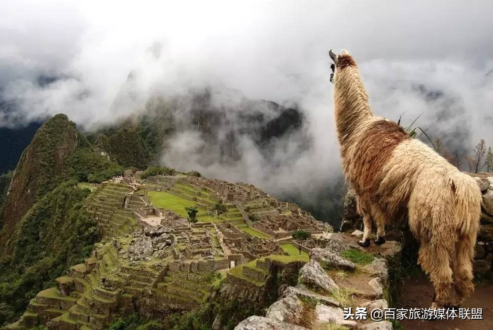 汶川地震第一个来支援中国的国家,汶川地震国家的反应