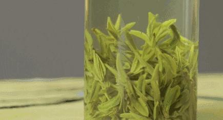 安康平利县茶叶有哪些,安康平利是啥茶