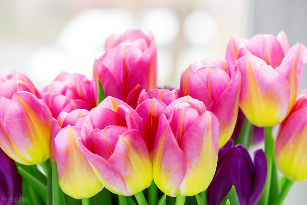 疫情期间的超市小票,打败了我可笑的婚姻