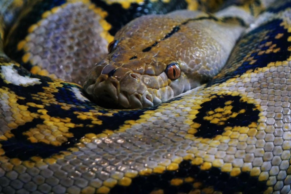 我的摄影装备,索尼微单a5000和a5100哪个好