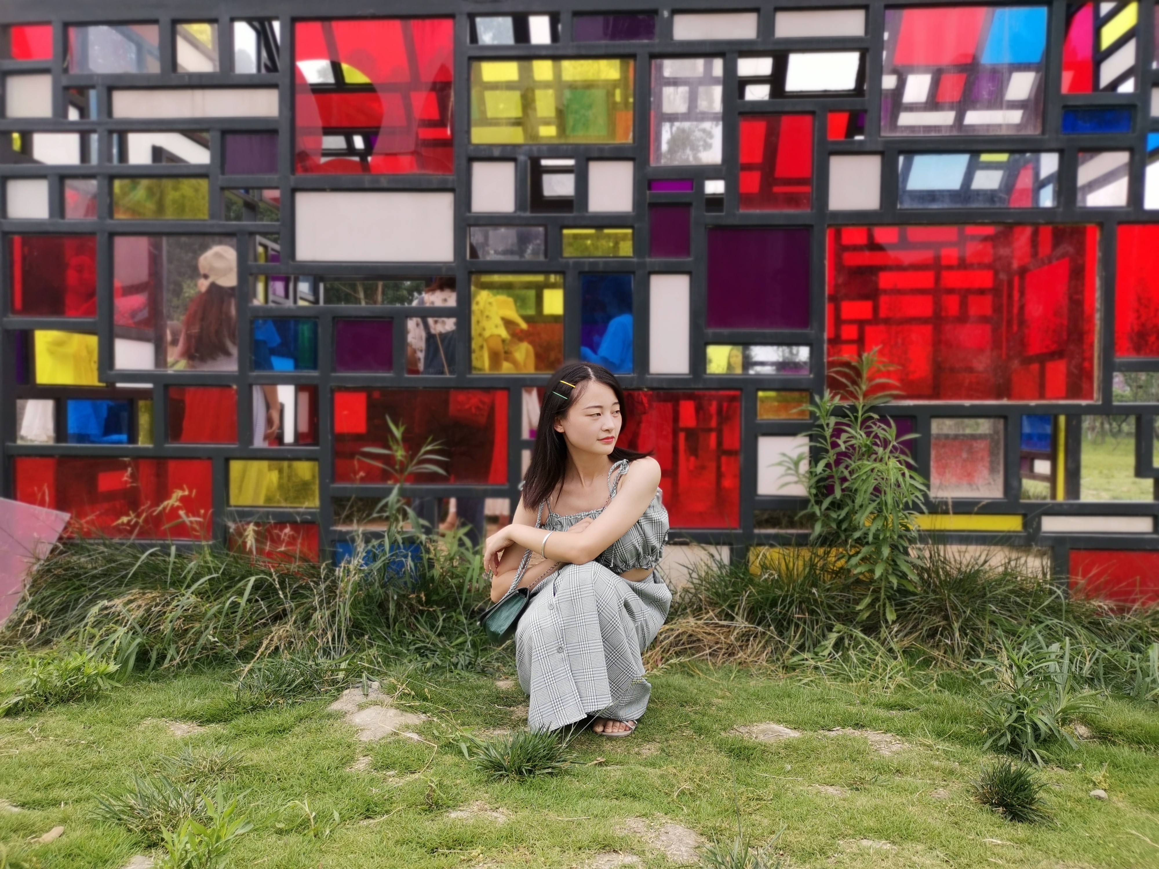 向日葵花海成都8月,成都向日葵花海几月有花