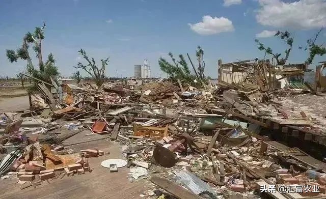 承包100亩农业土地国家有啥补贴,河南省农业土地承包补贴政策