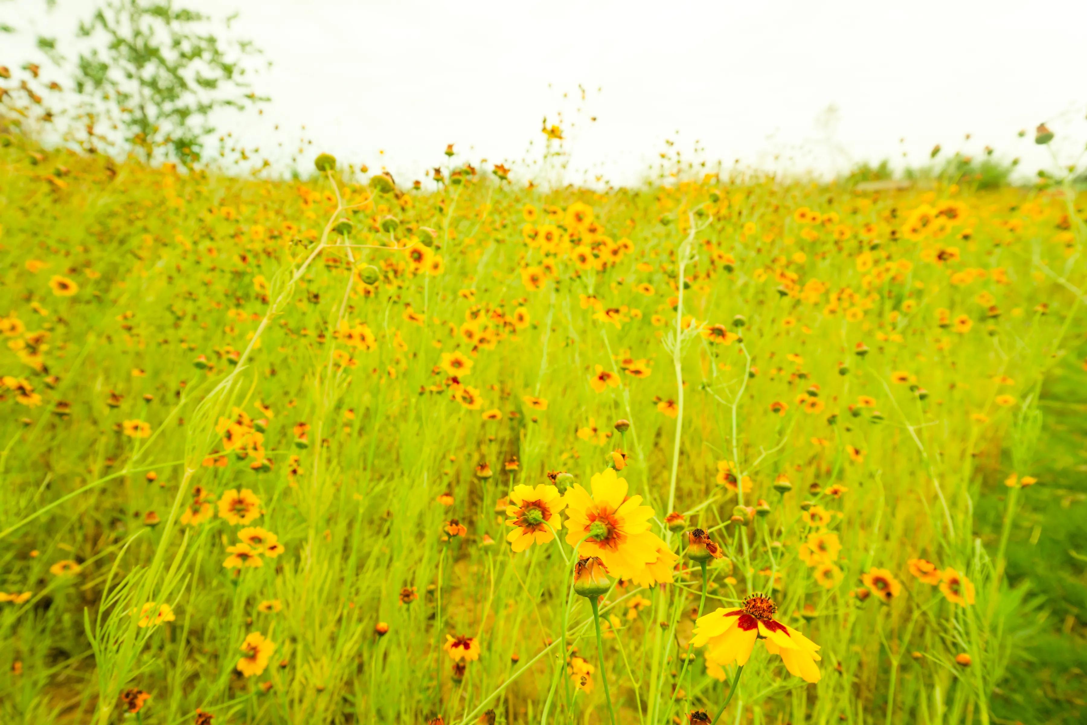 自我的女生有什么表现,有点自我的女生怎么样