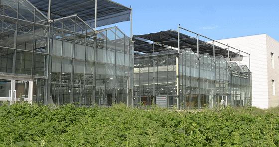 玻璃温室专用铝型材安装教程,铝合金温室大棚建造