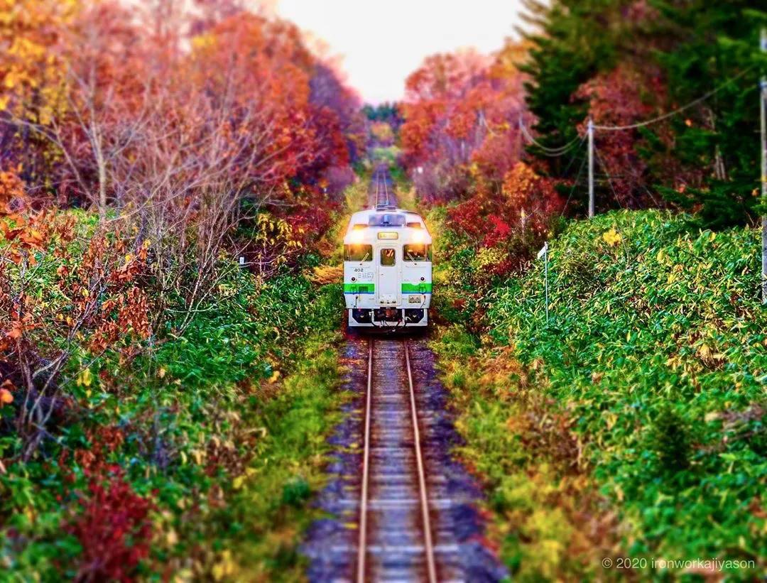 北海道的雪有多美,北海道到底有多吸引人