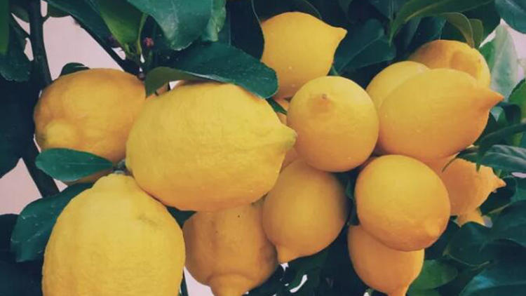 濂崇蹇呭濂界墿绱犻,濂崇鐙埍