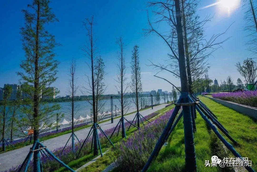 不看可惜!千亿央企亮相住博会!平时都很贵,除了这几天