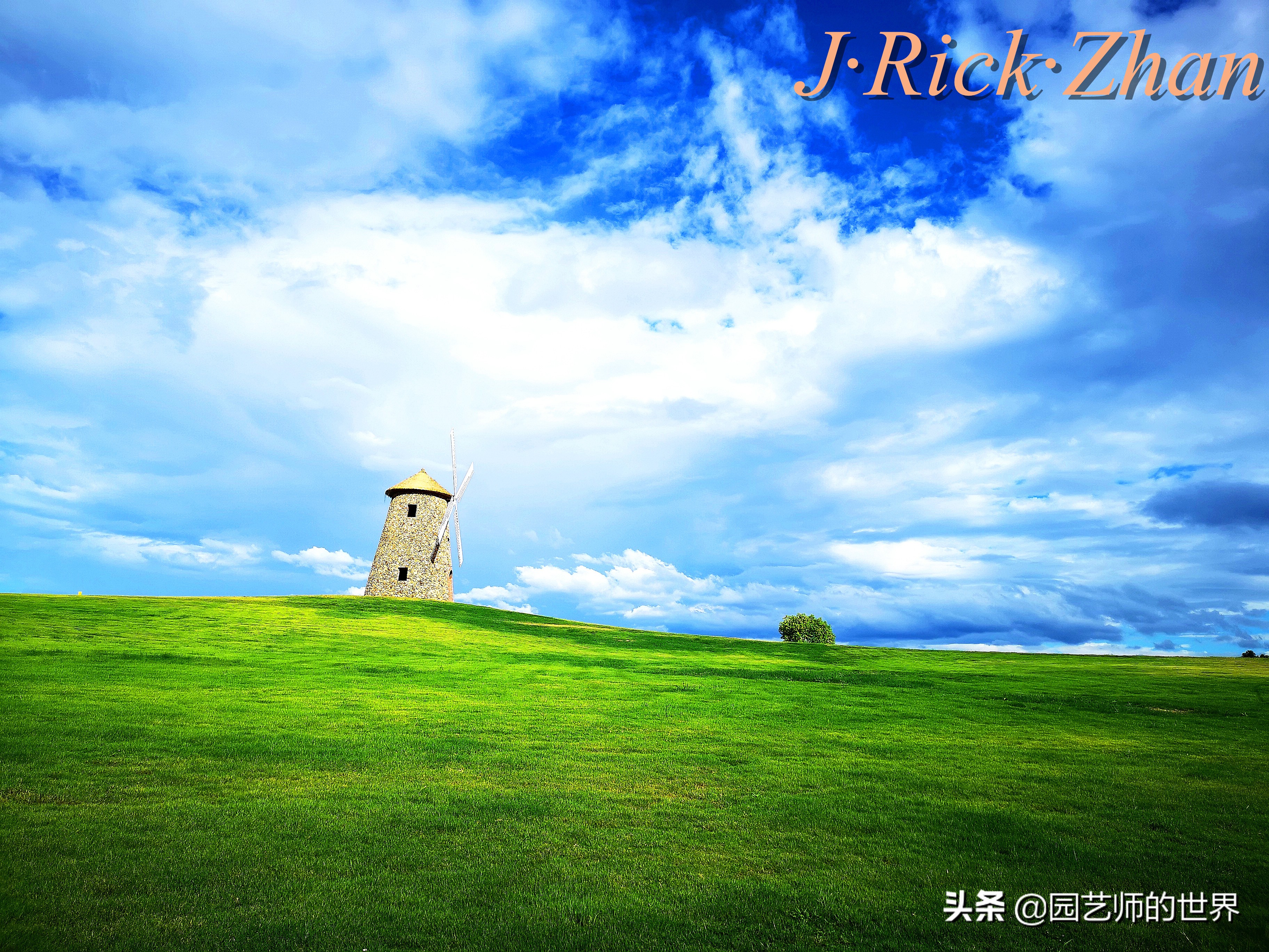 怎样种植草坪技术,果岭草坪的种植养护方法及技巧