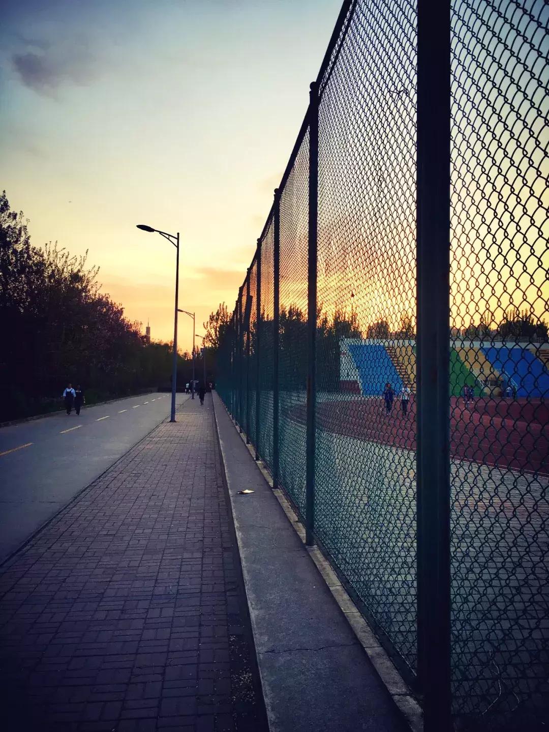 郑州周边适合春天去的地方,郑州适合骑行的公园