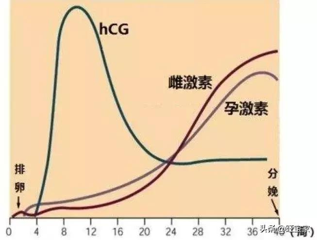 古代流产后需要清理子宫吗,中医对早期流产坐月子的建议