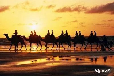 财富指南,财富理财教程