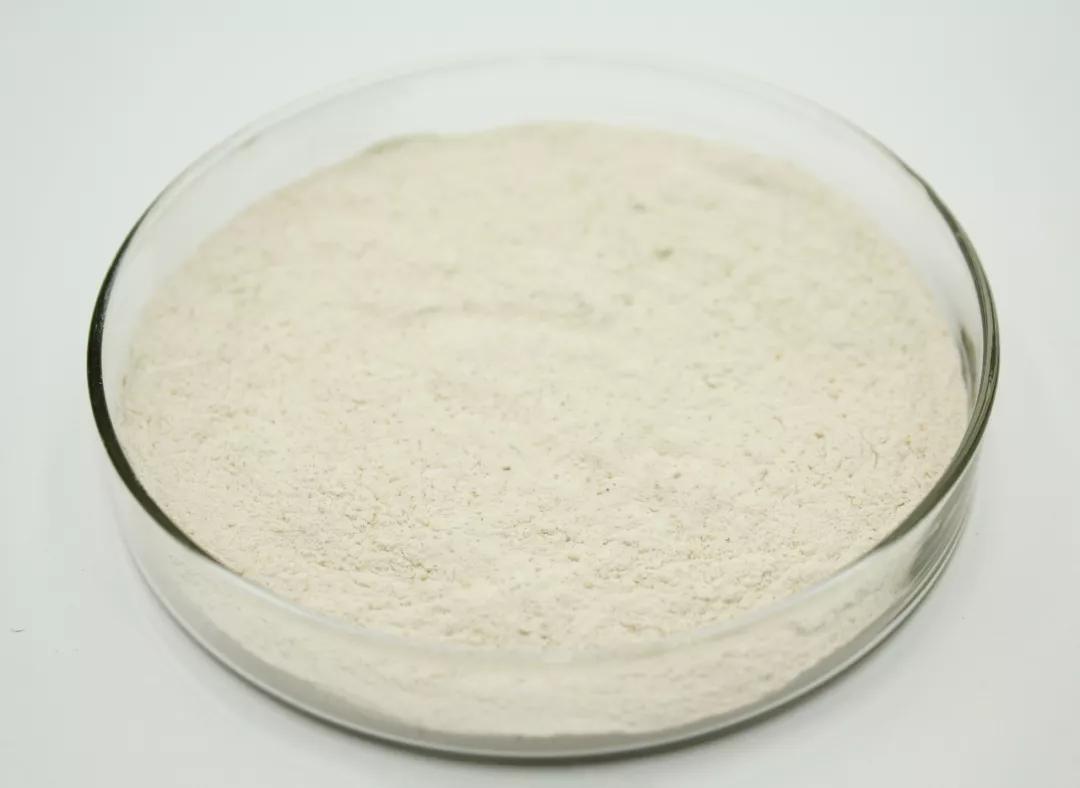 怎么防治蓝藻最好,微生物治蓝藻效果怎么样