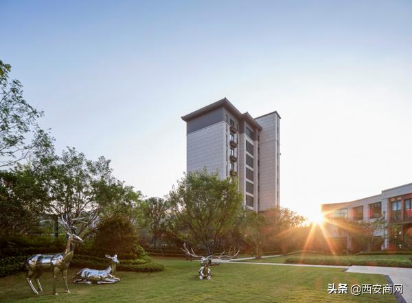 碧桂园“浐灞双星”闪耀||于城市浮尘中筑一处世外桃源