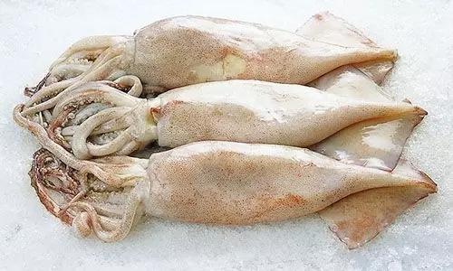 史上最全海鲜视频,史上最全海鲜贝类大全