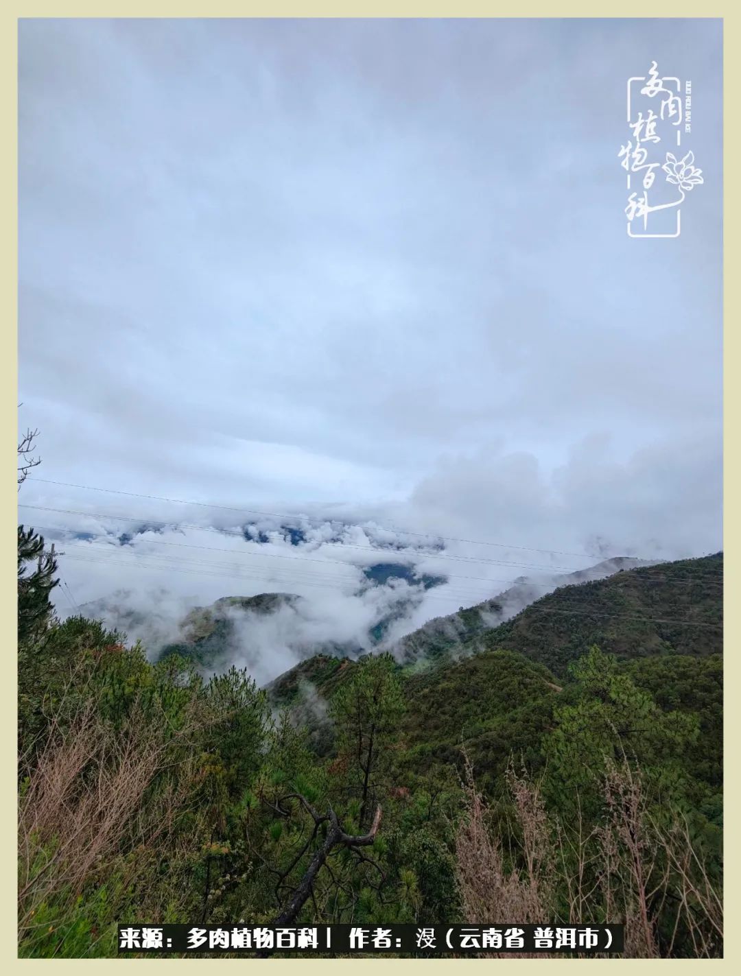 深情不及久伴,厚爱无需多言,择一“爱”,护一生