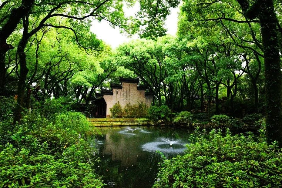 活泼的，生动的，孩子们眼中的天一阁