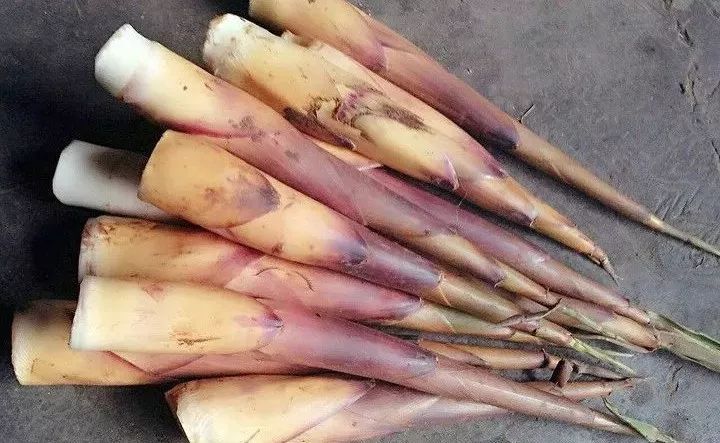 人间四月天恰逢春意浓,人间四月天暮春时节