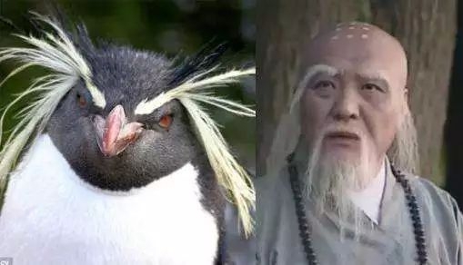 90后“未富先秃”！该拿什么拯救我的发际线？