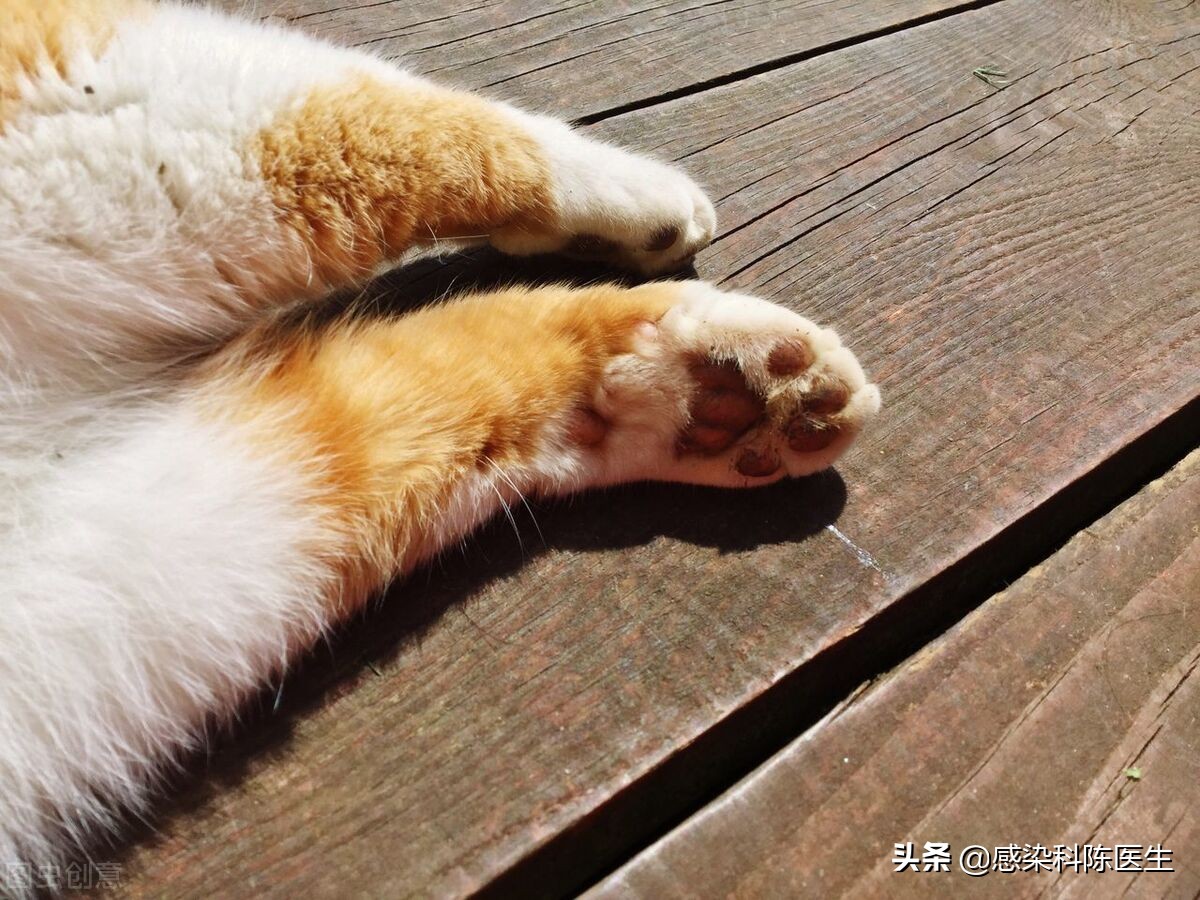 腋窝下淋巴结肿大是艾滋病吗,女子患淋巴结肿大