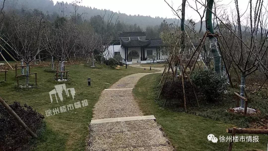 徐州森林公园,徐州森林公园开放时间最新