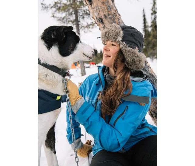 高级玩雪方式，汪星人从挪威一路拉你到瑞典，300公里不在话下