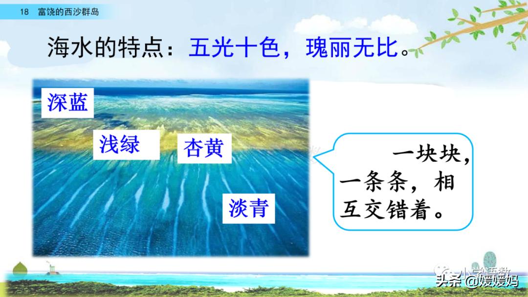 三年级第18课富饶的西沙群岛预习,3年级语文第18课富饶的西沙群岛