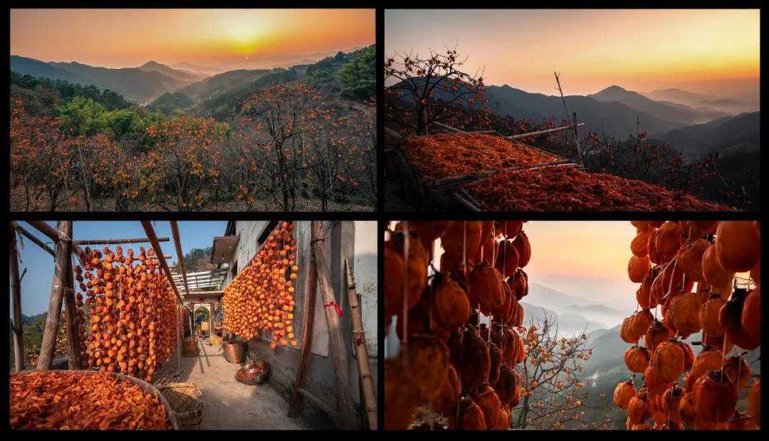 走向我们的小康生活9张海报,幸福新时代主题摄影作品