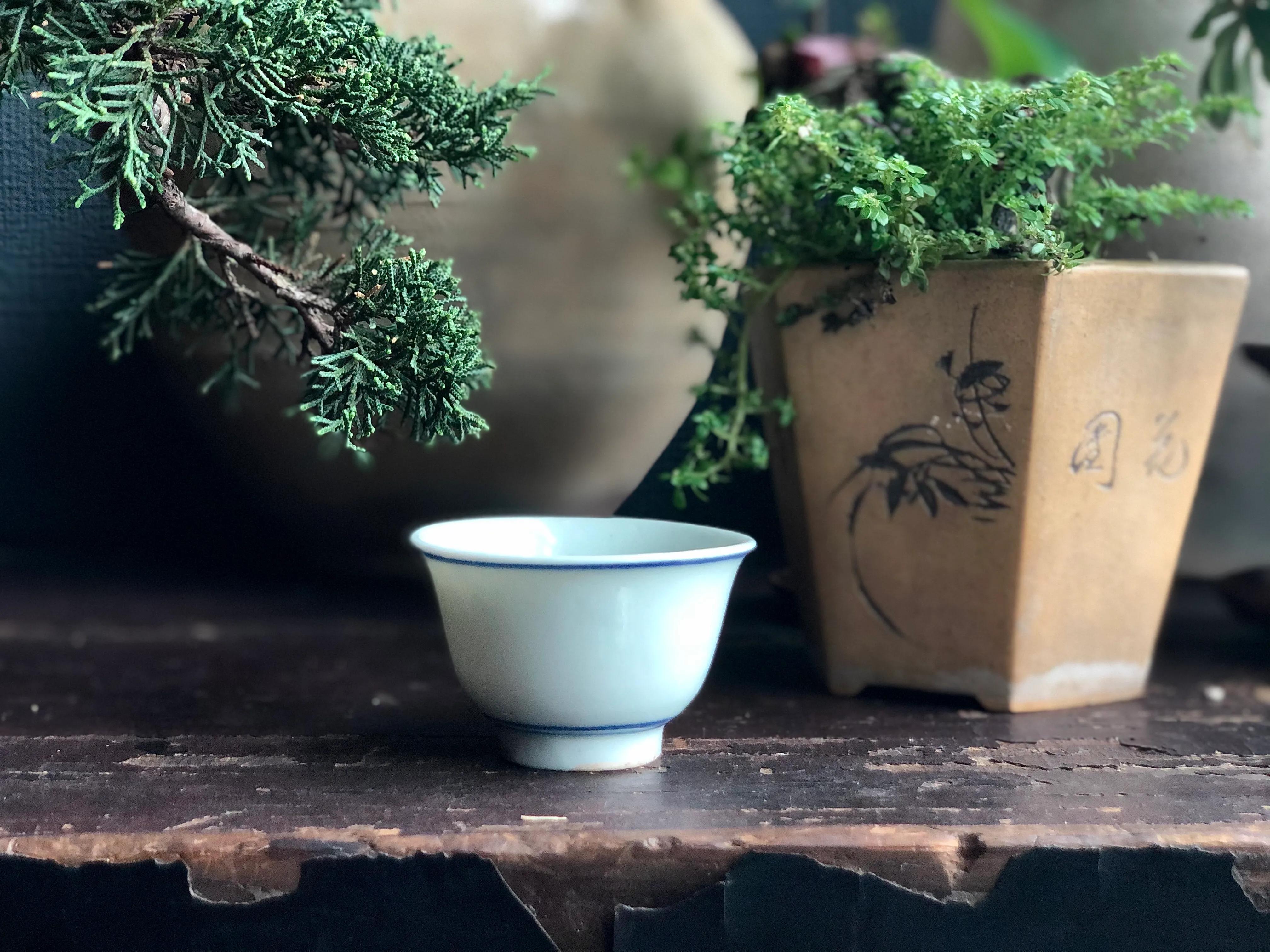 价值30、300、3000元古董主人杯,性价比因人而异,你选哪个?