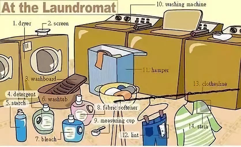 25张图让你记住中学英语所有生活用词（下）